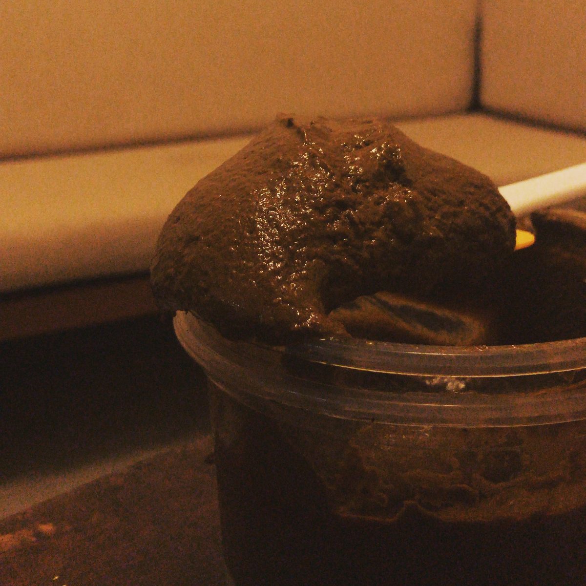 Dark, glossy mole in a container